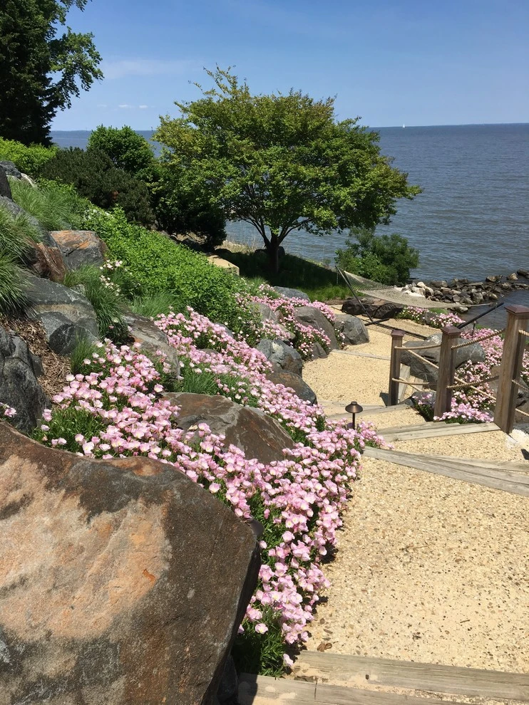 Gibson Island by Annabelle Sailer Garden Design - Photo 4