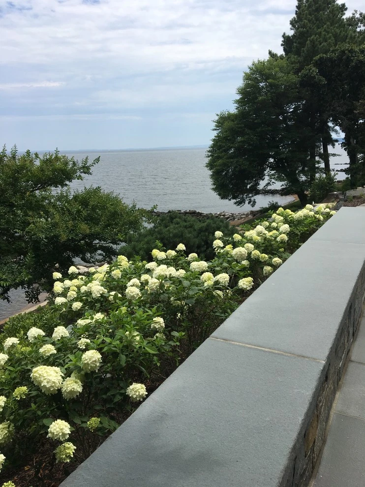 Gibson Island by Annabelle Sailer Garden Design - Photo 2