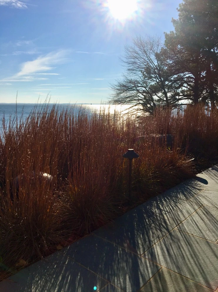 Gibson Island by Annabelle Sailer Garden Design - Photo 11