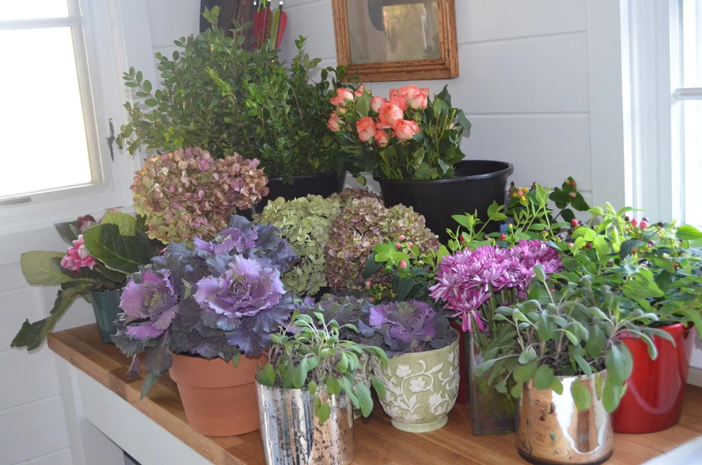 Floral Design by Annabelle Sailer Garden Design - Photo 3