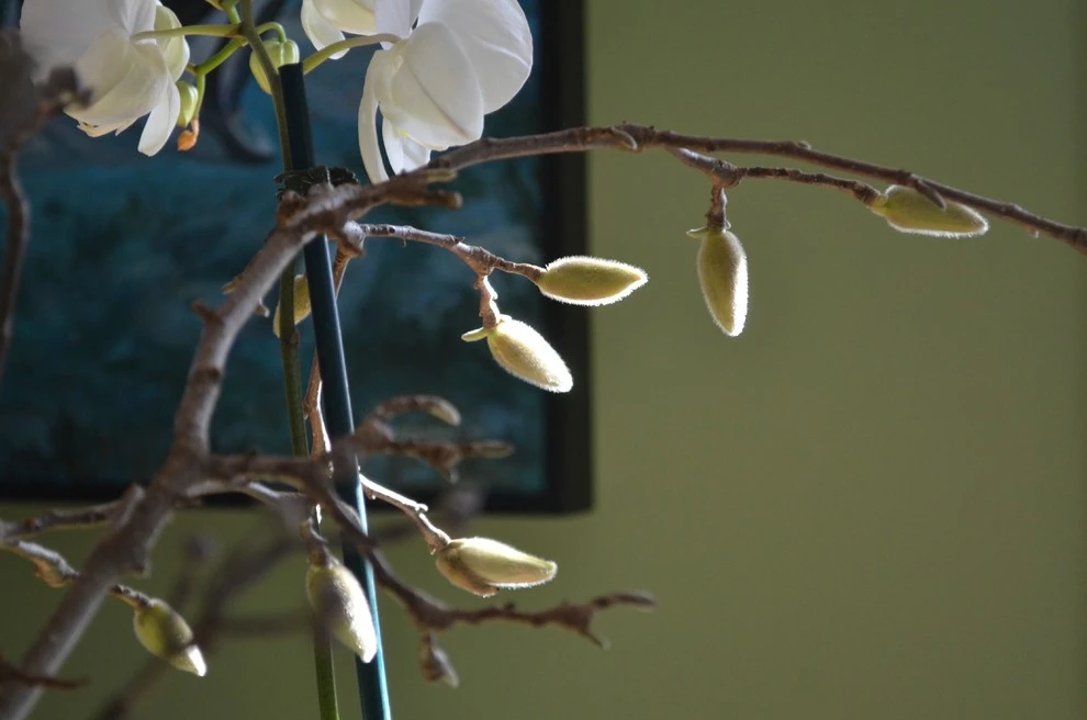 Floral Design by Annabelle Sailer Garden Design - Photo 9