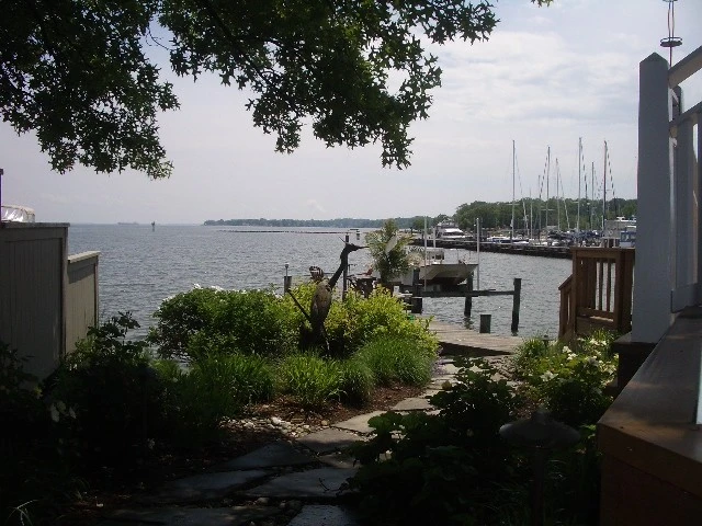Back Creek Annapolis by Annabelle Sailer Garden Design - Photo 5