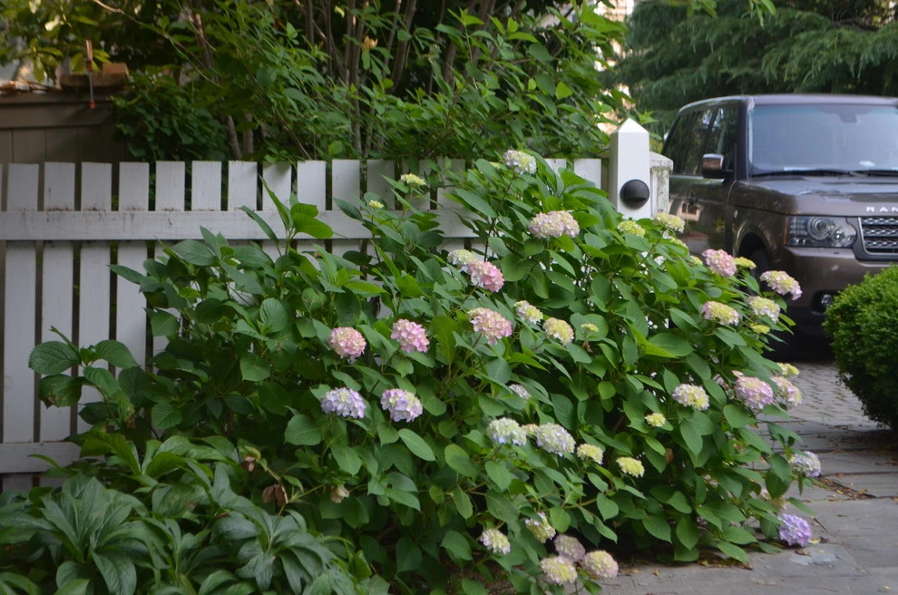 Back Creek Annapolis by Annabelle Sailer Garden Design - Photo 3
