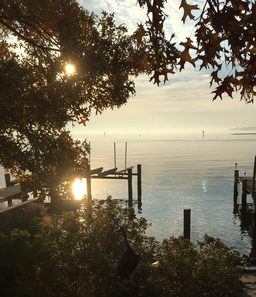 Back Creek Annapolis by Annabelle Sailer Garden Design - Photo 6