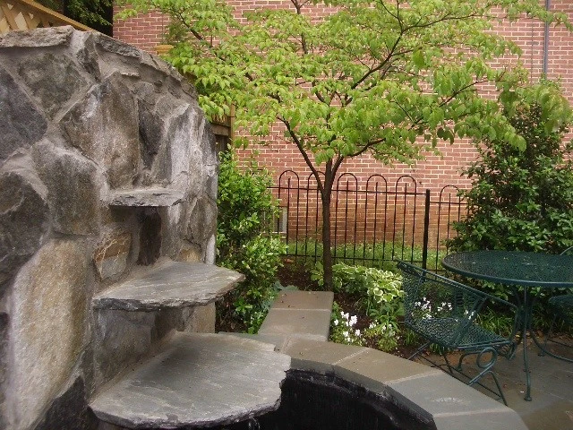 Murray Hill Annapolis by Annabelle Sailer Garden Design - Photo 2