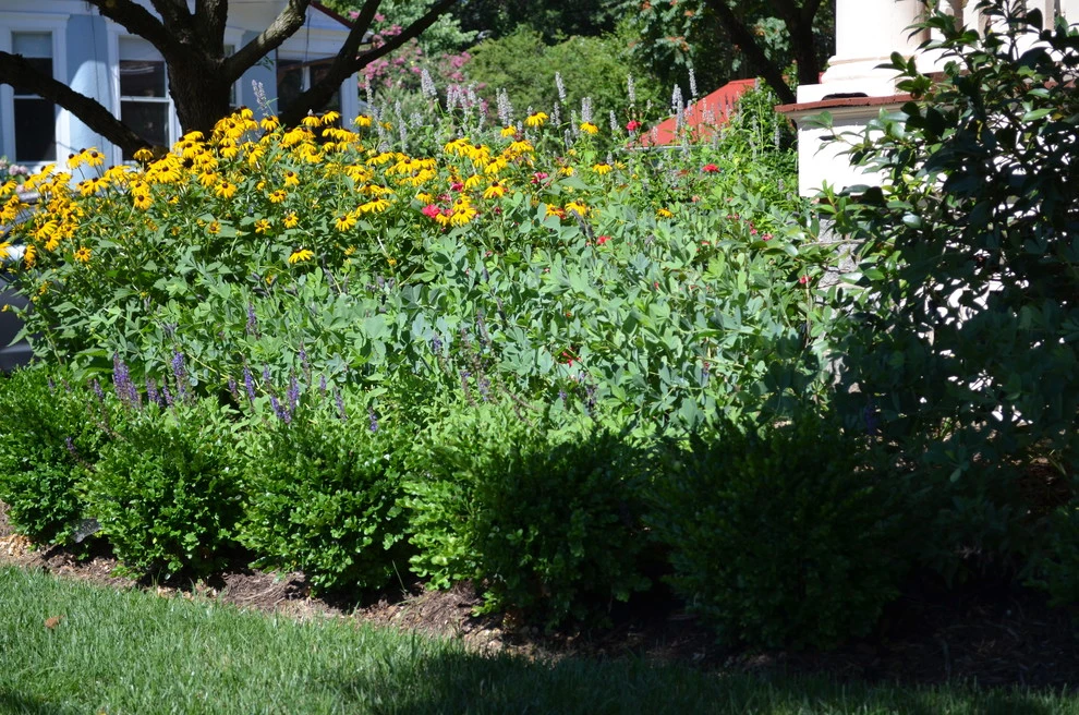Murray Hill Annapolis by Annabelle Sailer Garden Design - Photo 8