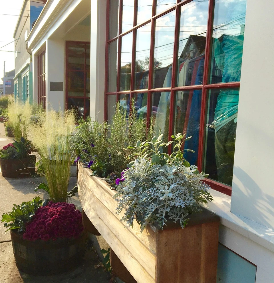 Planters by Annabelle Sailer Garden Design - Photo 7