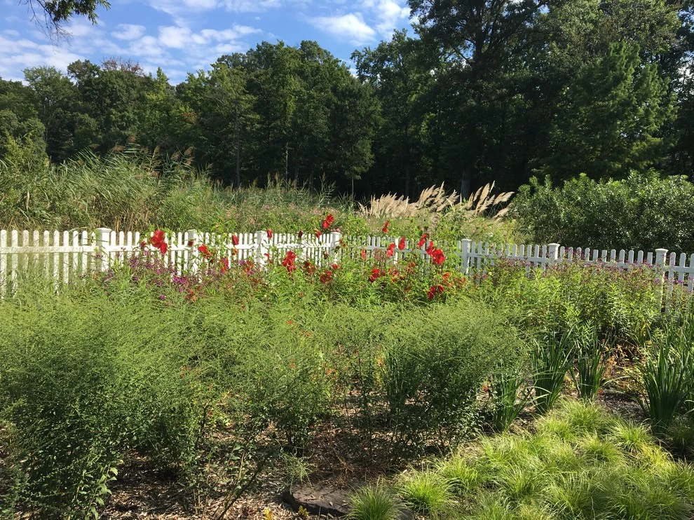 Fishing Creek Farm by Annabelle Sailer Garden Design - Photo 2