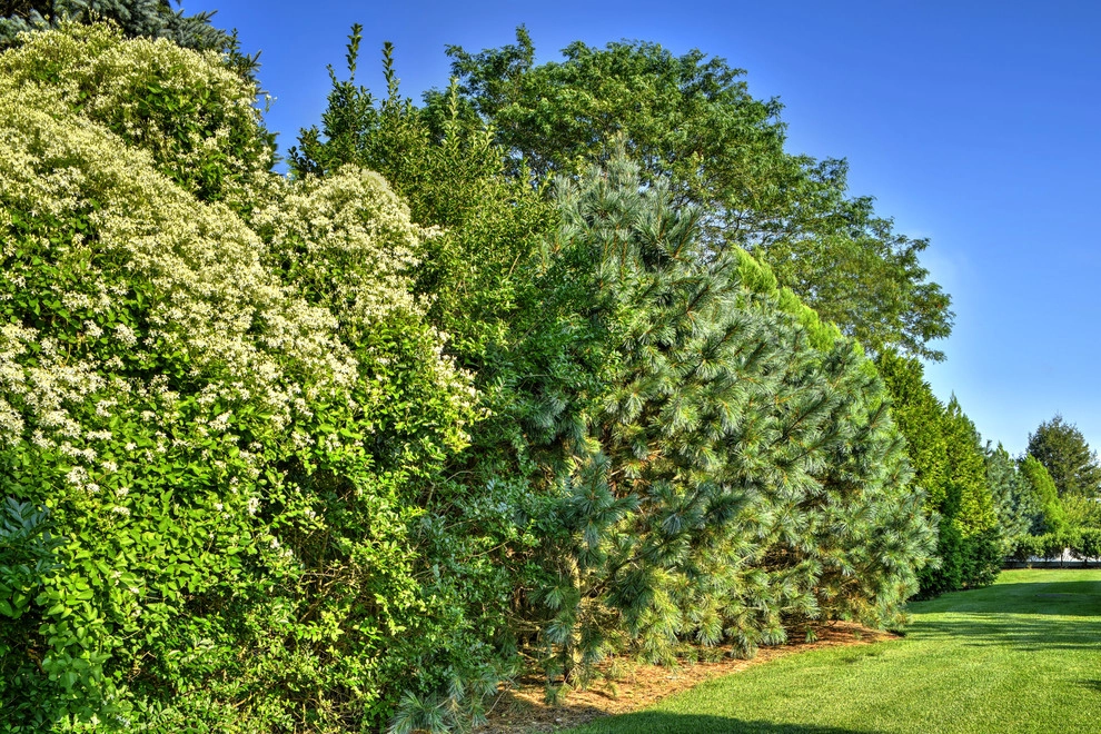Sagaponack Spec by Davis Landscape Design LLC - Photo 12