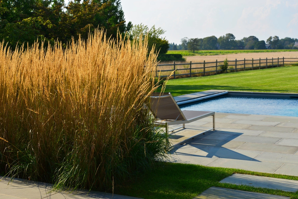 Sagaponack Spec by Davis Landscape Design LLC - Photo 18