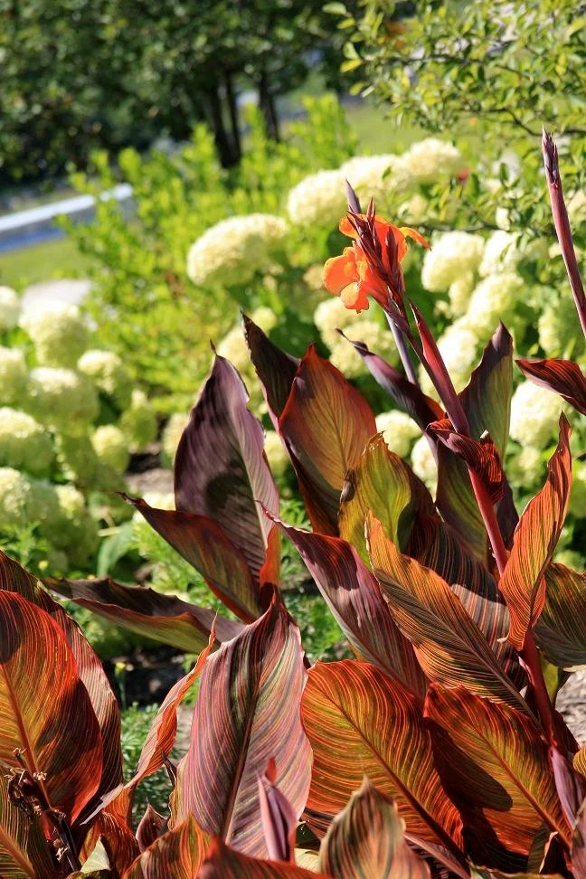 Brentwood Landscape & Design Incorporated - Photo 3