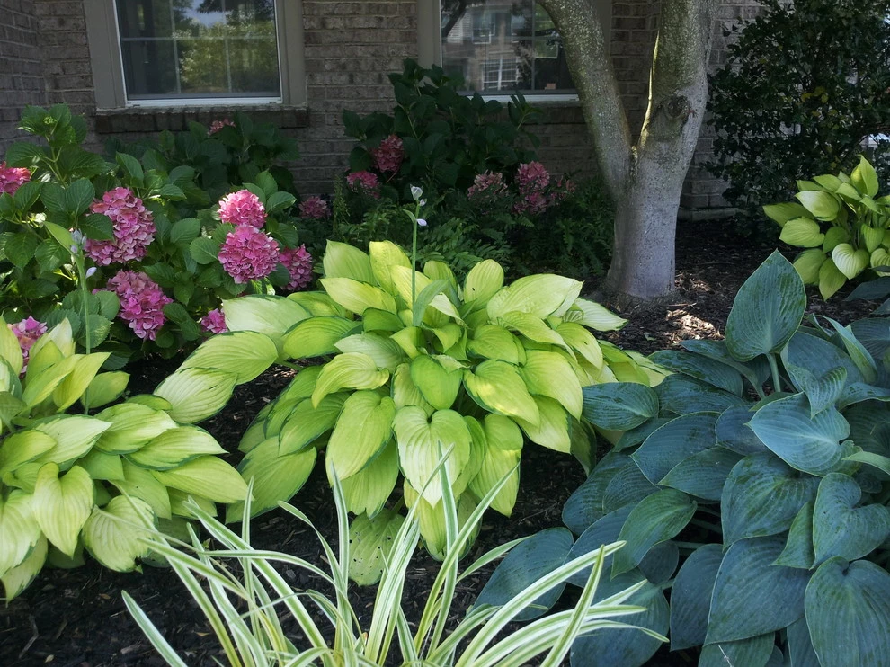 Gallery by Brentwood Landscape & Design Incorporated - Photo 14