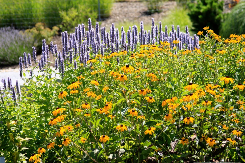 Brentwood Landscape & Design Incorporated - Photo 10