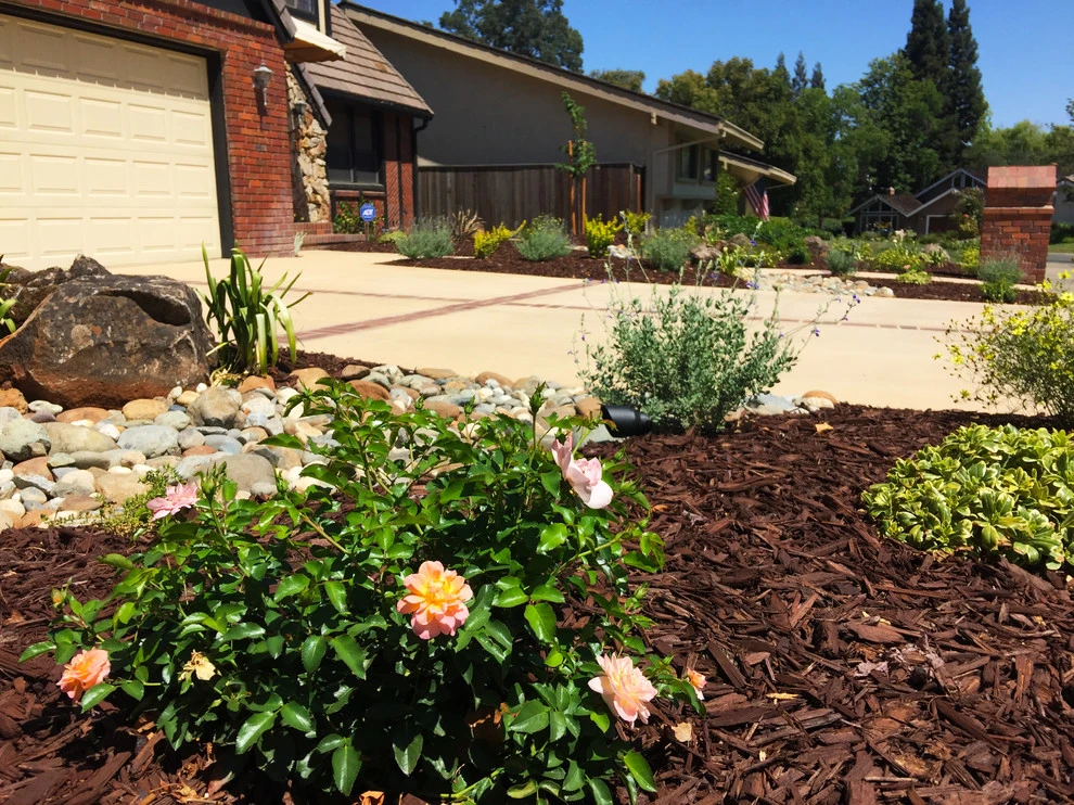 Lawn-B-Gone #3 by Cal Wild Landscape Design - Photo 4