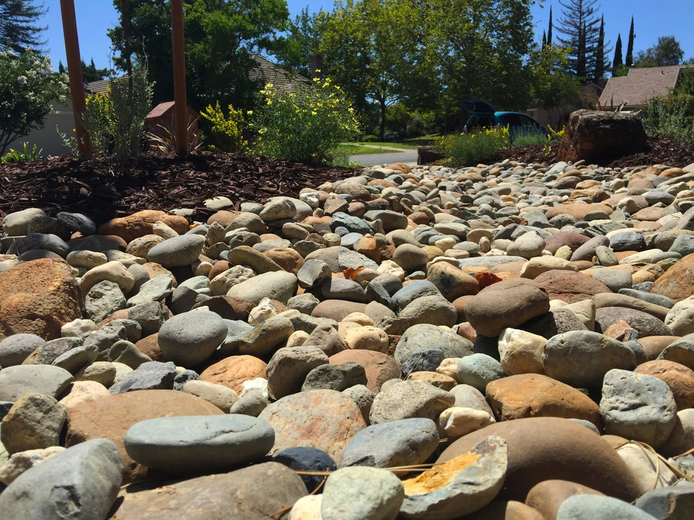 Lawn-B-Gone #3 by Cal Wild Landscape Design - Photo 2