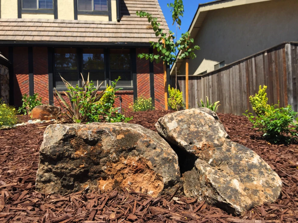 Lawn-B-Gone #3 by Cal Wild Landscape Design - Photo 5