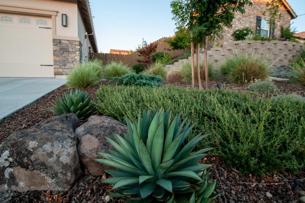 Zen Inspired by Cal Wild Landscape Design - Photo 4