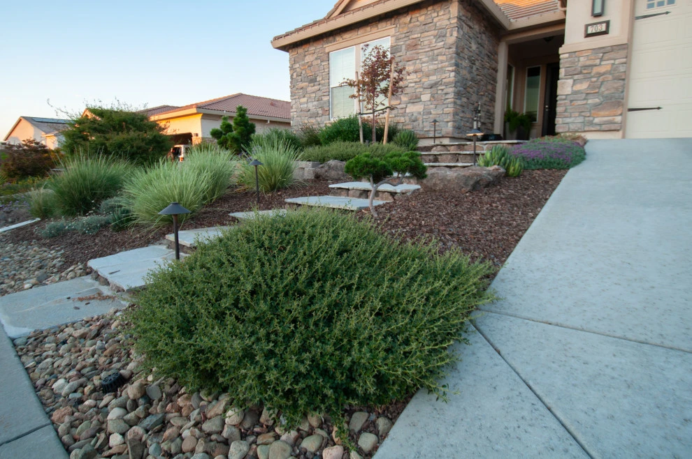 Zen Inspired by Cal Wild Landscape Design - Photo 5