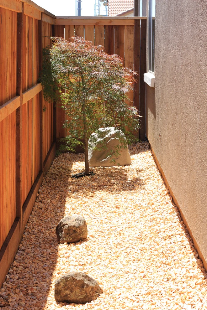 DIY Family Backyard by Cal Wild Landscape Design - Photo 4