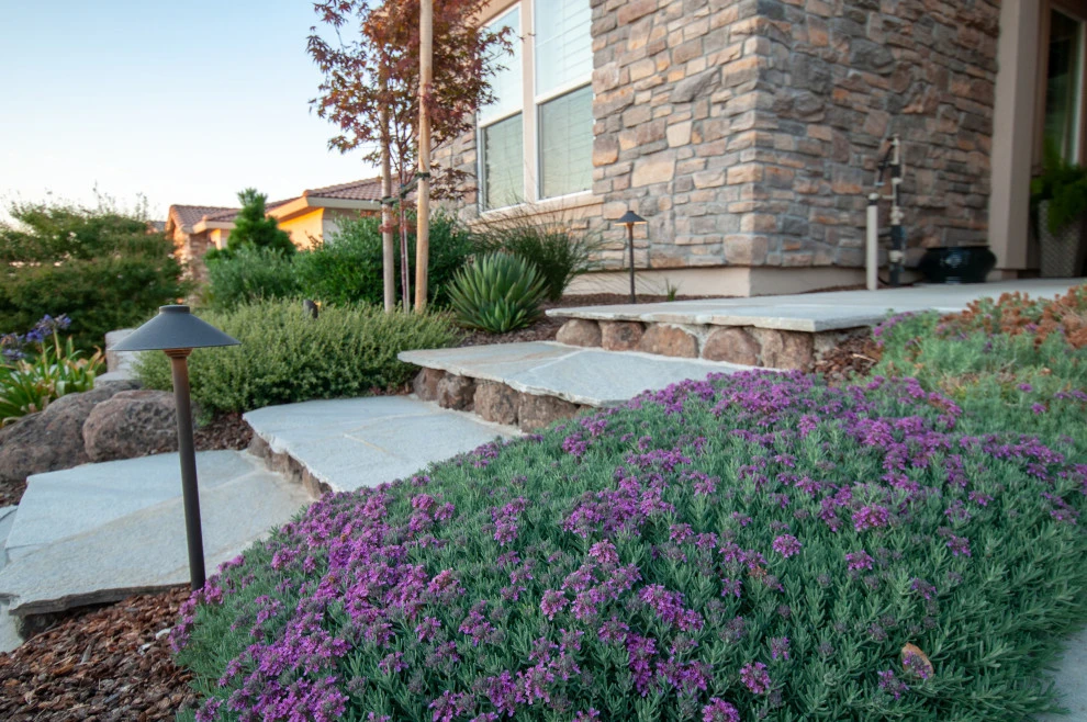 Zen Inspired by Cal Wild Landscape Design - Photo 14
