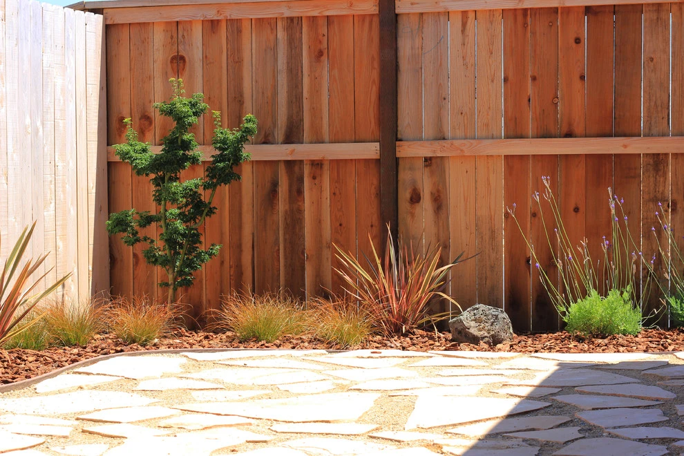 DIY Family Backyard by Cal Wild Landscape Design - Photo 2