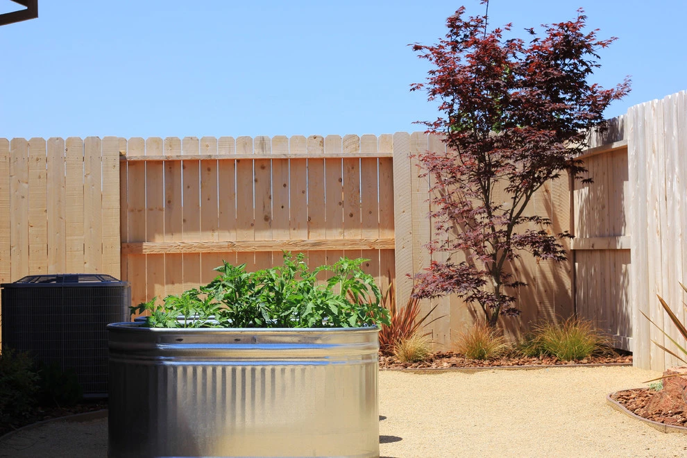 DIY Family Backyard by Cal Wild Landscape Design - Photo 5