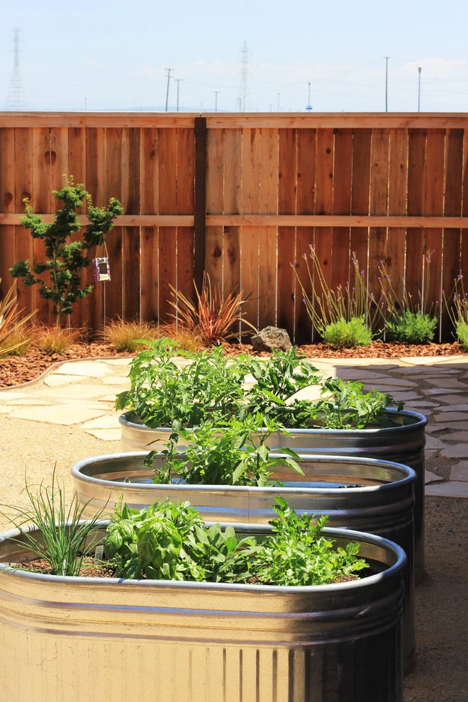 DIY Family Backyard by Cal Wild Landscape Design - Photo 7
