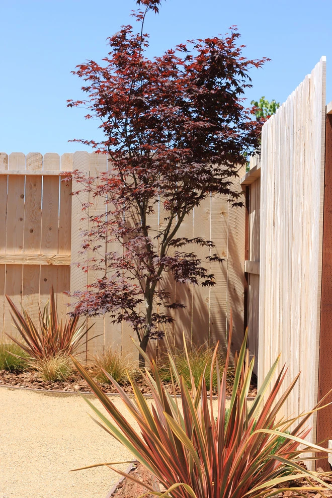 DIY Family Backyard by Cal Wild Landscape Design - Photo 8