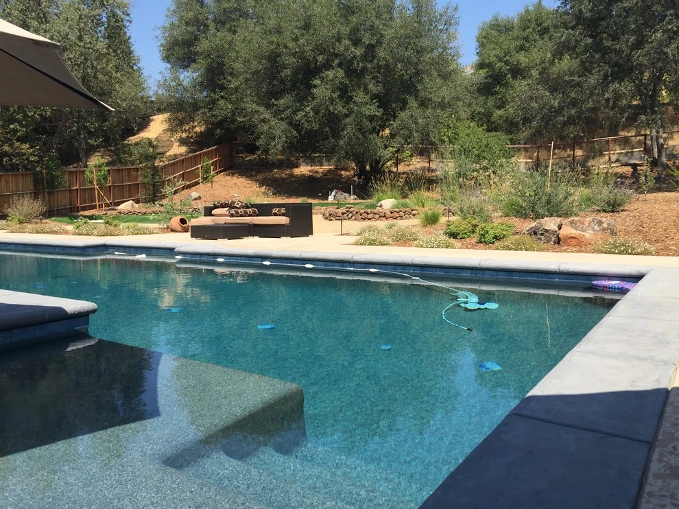NorCA Beachy by Cal Wild Landscape Design - Photo 11