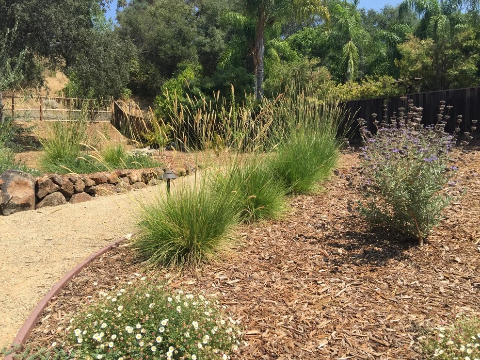 NorCA Beachy by Cal Wild Landscape Design - Photo 8