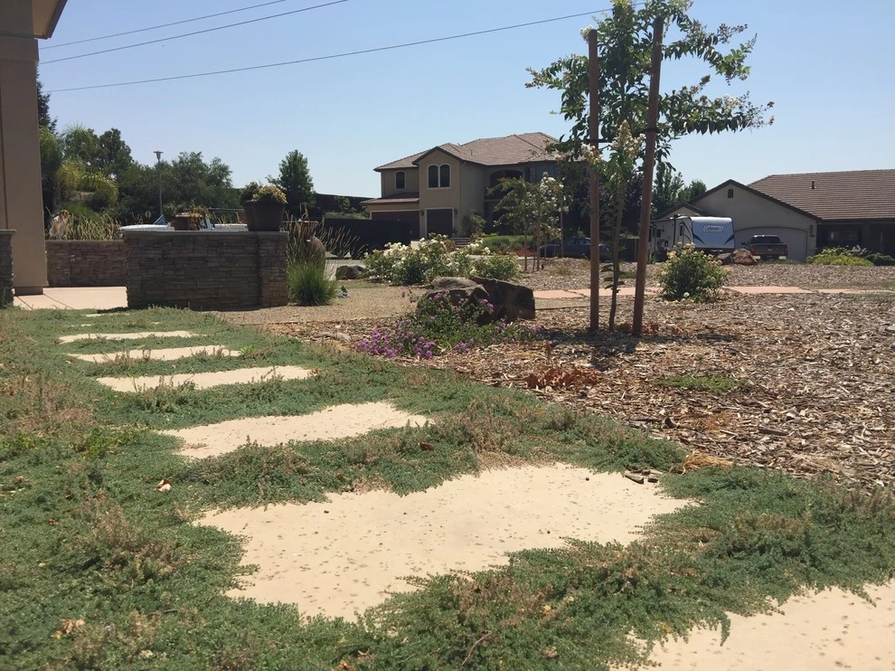NorCA Beachy by Cal Wild Landscape Design - Photo 2