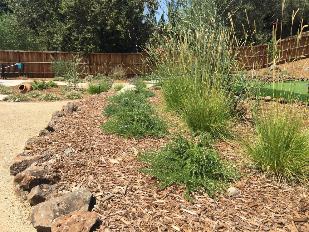 NorCA Beachy by Cal Wild Landscape Design - Photo 3