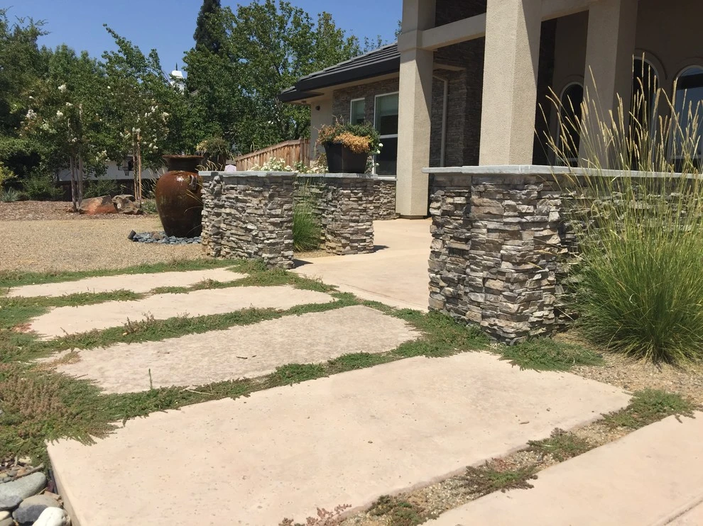 NorCA Beachy by Cal Wild Landscape Design - Photo 6