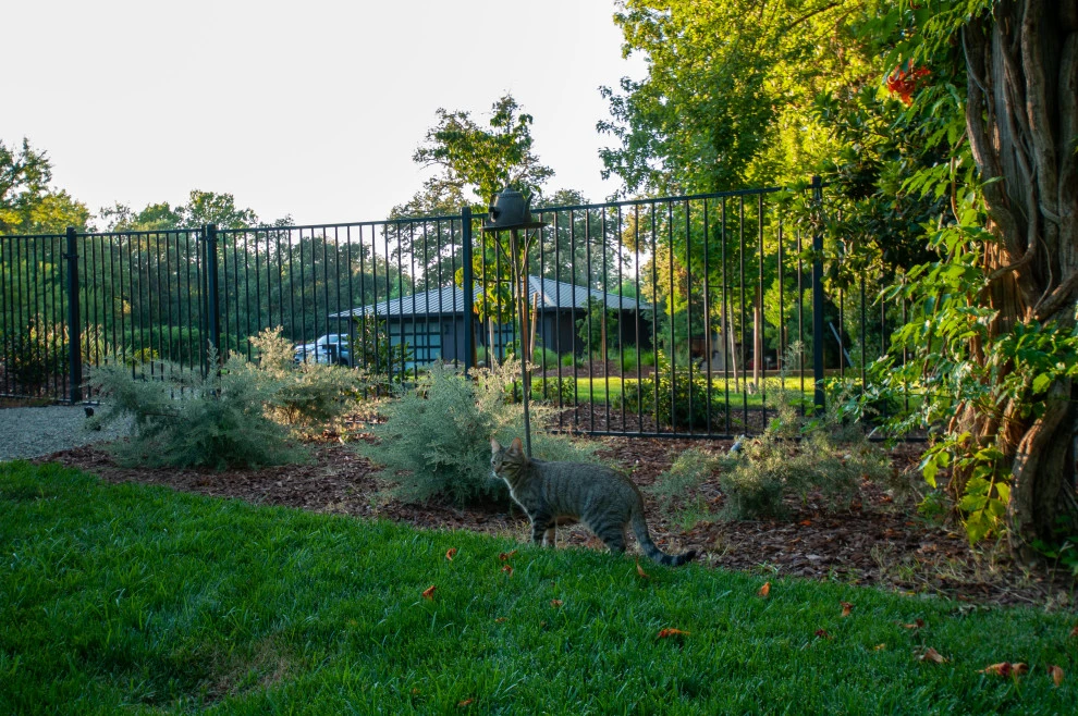 Naturally Contemporary by Cal Wild Landscape Design - Photo 9