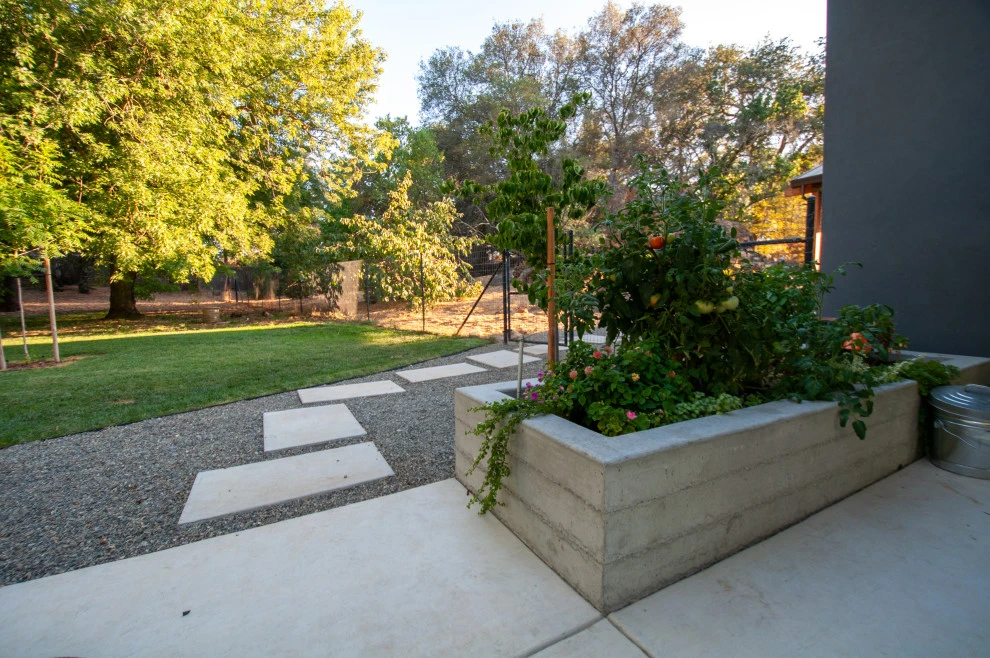 Naturally Contemporary by Cal Wild Landscape Design - Photo 7