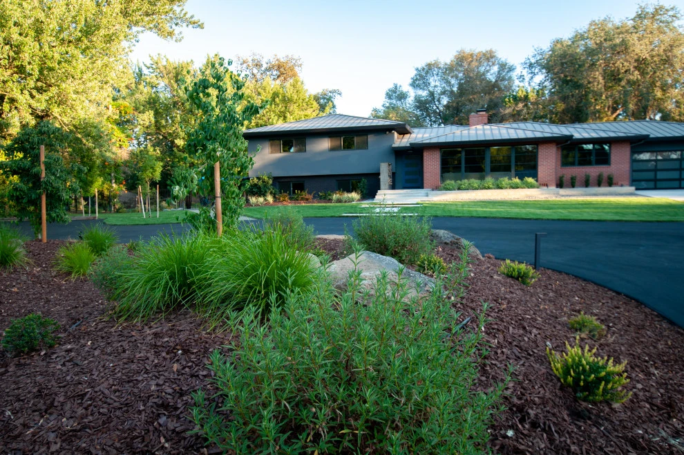 Naturally Contemporary by Cal Wild Landscape Design - Photo 21