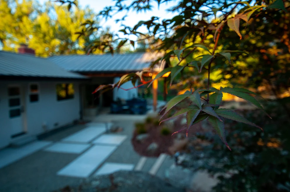 Naturally Contemporary by Cal Wild Landscape Design - Photo 23