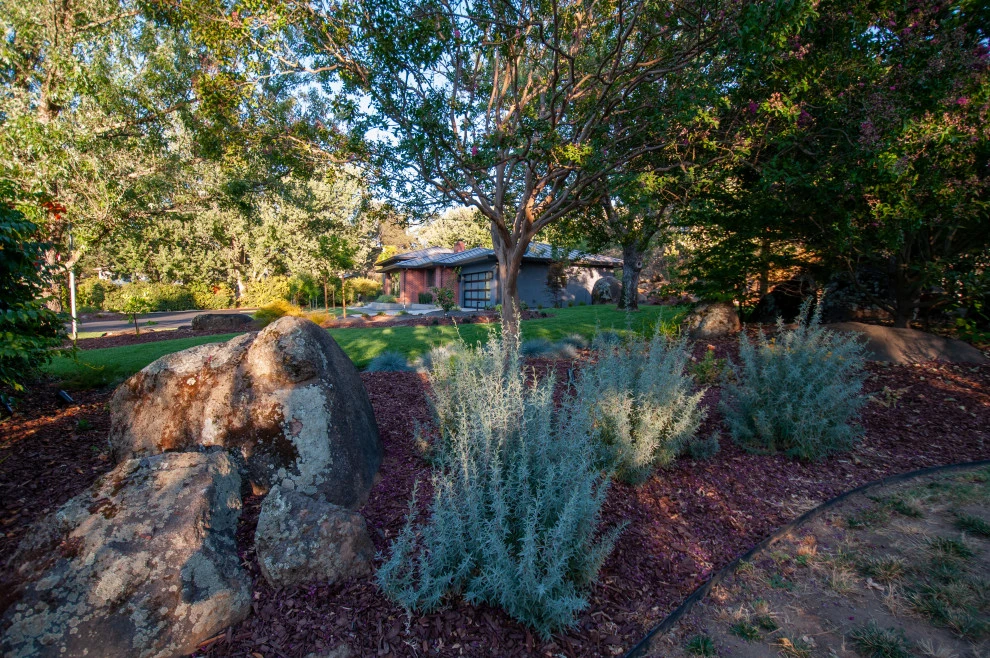 Naturally Contemporary by Cal Wild Landscape Design - Photo 17
