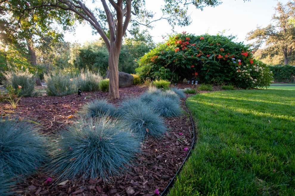 Naturally Contemporary by Cal Wild Landscape Design - Photo 2