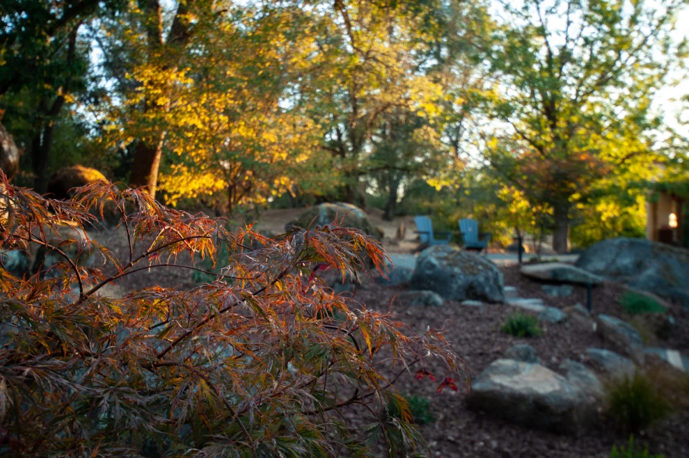 Naturally Contemporary by Cal Wild Landscape Design - Photo 10