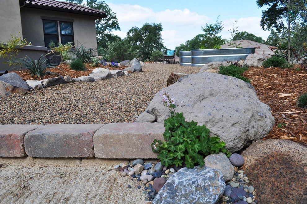 Creative Collaboration by Cal Wild Landscape Design - Photo 6