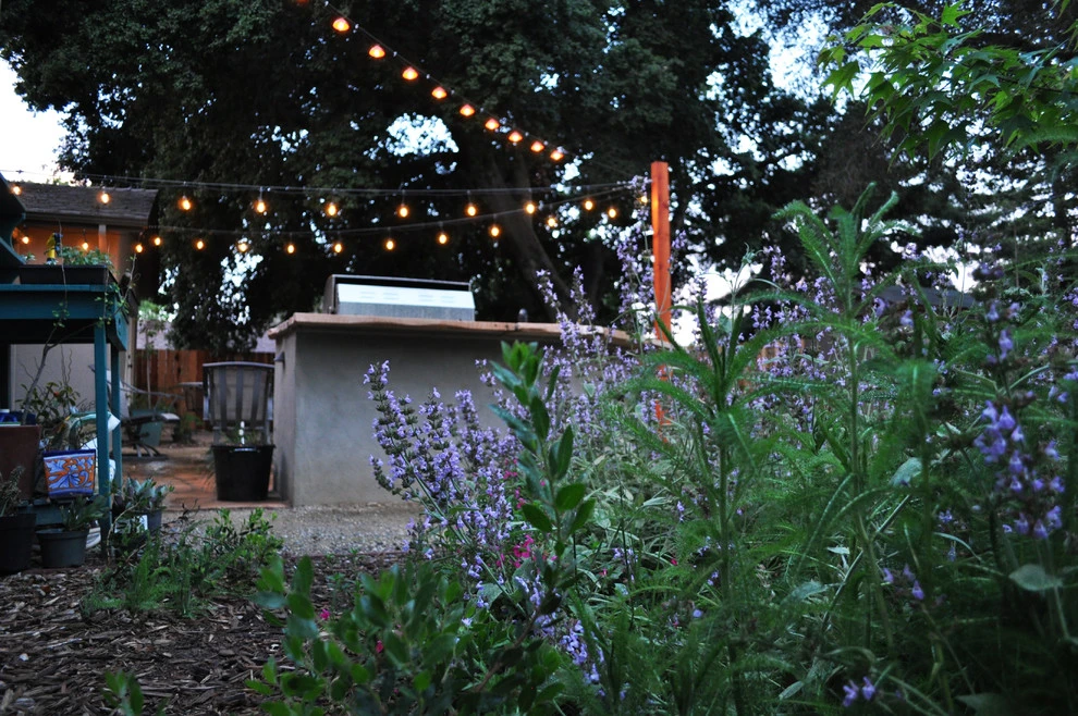 Cal Wild Landscape Design - Photo 3
