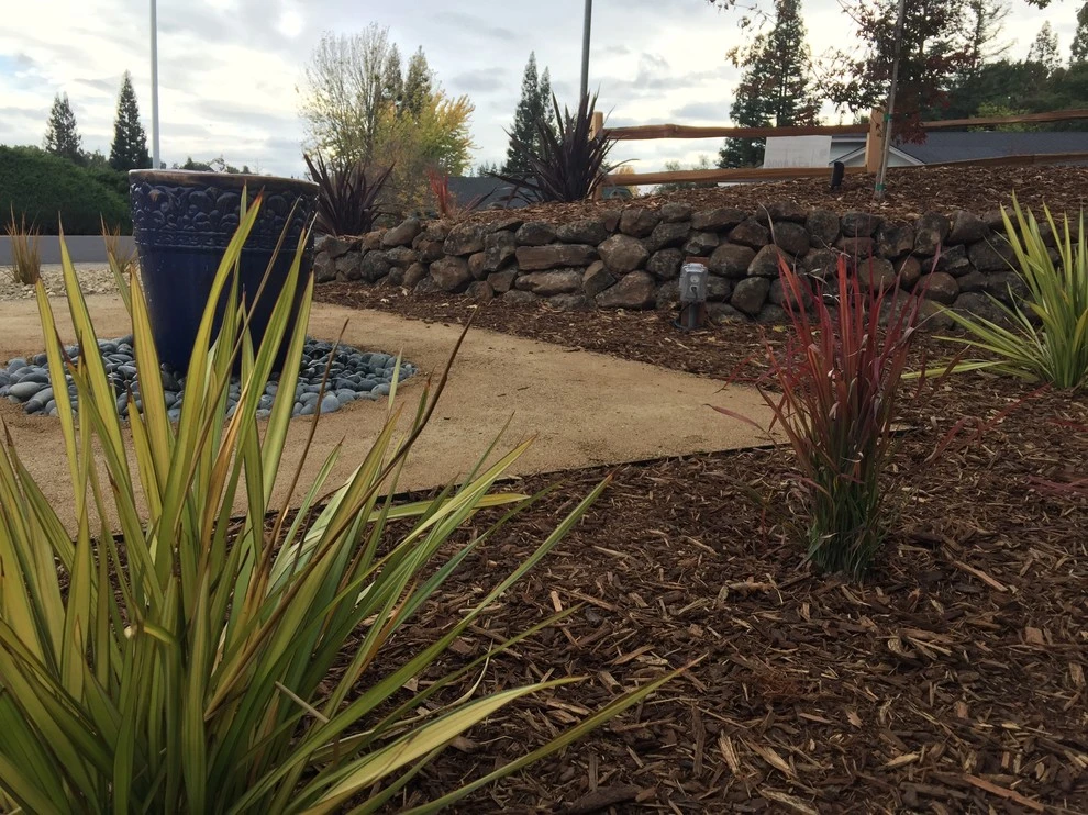 Contemporary Patch Work by Cal Wild Landscape Design - Photo 4