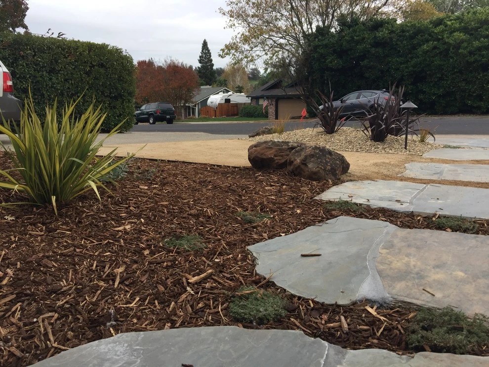 Contemporary Patch Work by Cal Wild Landscape Design - Photo 2