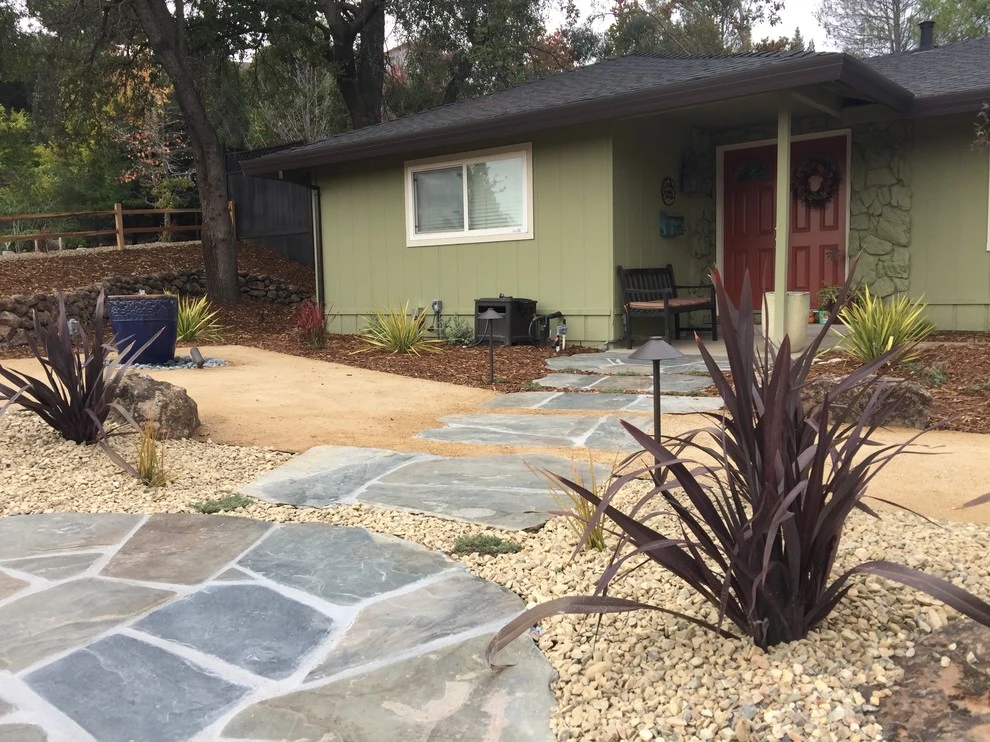 Contemporary Patch Work by Cal Wild Landscape Design - Photo 5