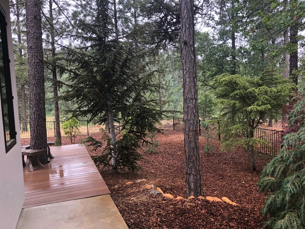 Contemporary Mountain Woodland by Cal Wild Landscape Design - Photo 6