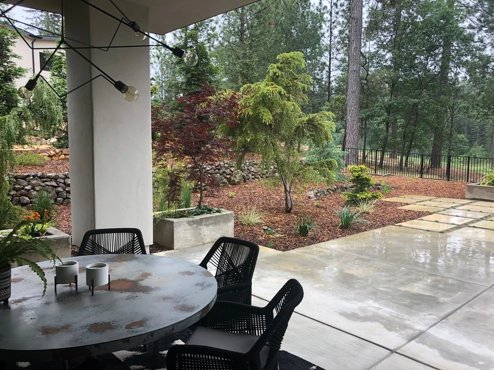 Contemporary Mountain Woodland by Cal Wild Landscape Design - Photo 11