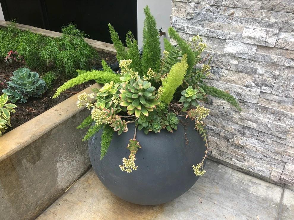 Contemporary Mountain Woodland by Cal Wild Landscape Design - Photo 17