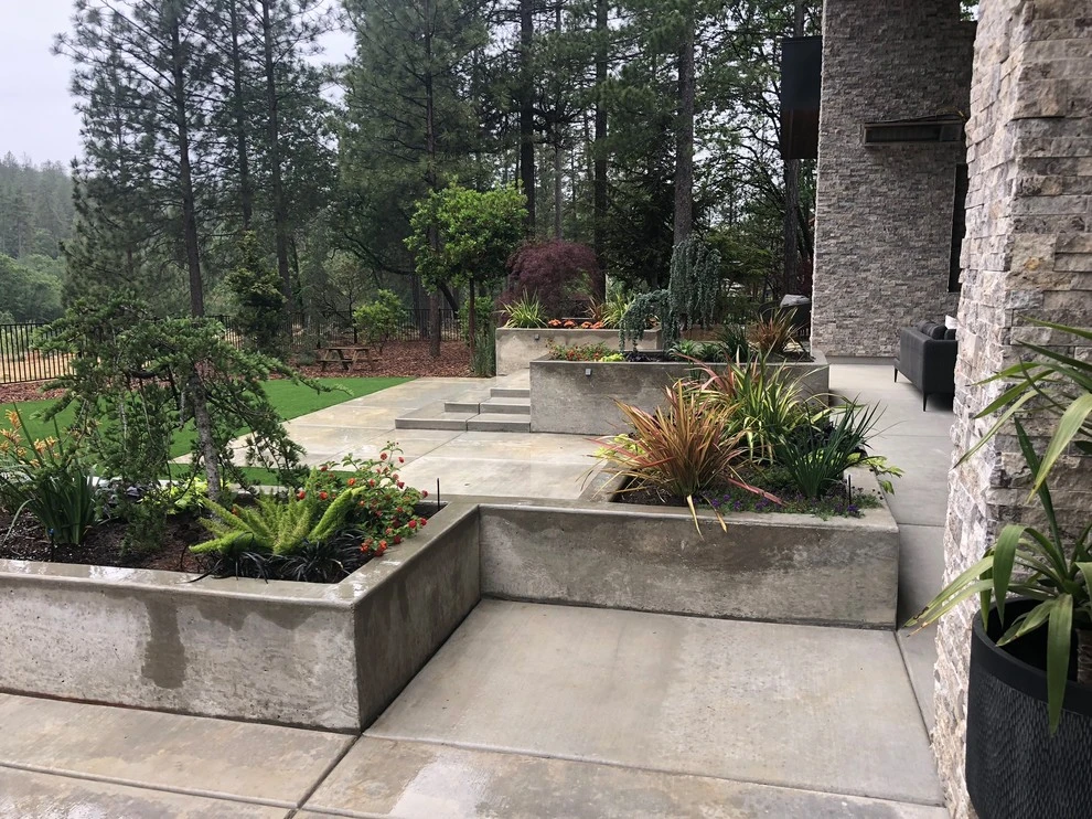 Contemporary Mountain Woodland by Cal Wild Landscape Design - Photo 22