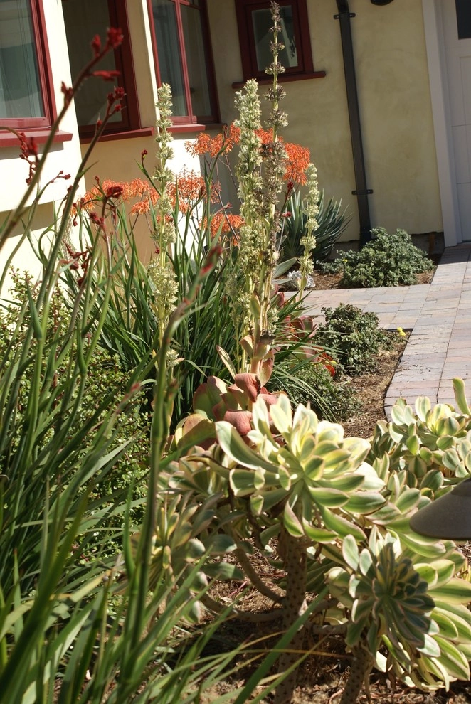 Los Altos Landscape Renovation by Deanna Foster Landscape Design - Photo 4